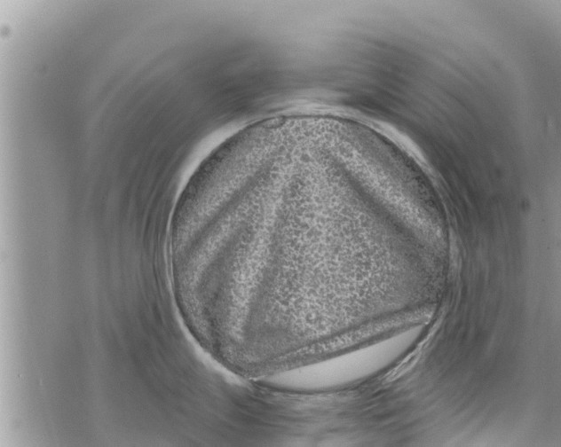 X0000073921247200609082230