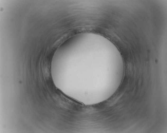 X0000073921250200609082229