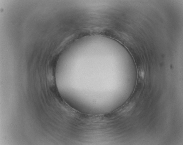 X0000073921252200609082229