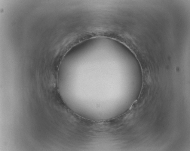 X0000073921253200609082229