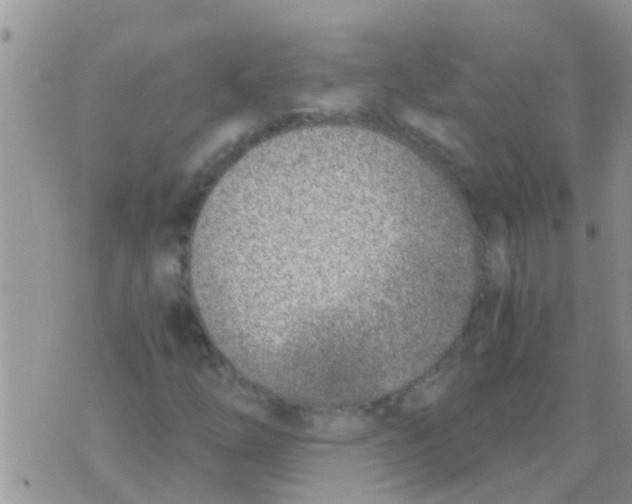 X0000073921254200609082229