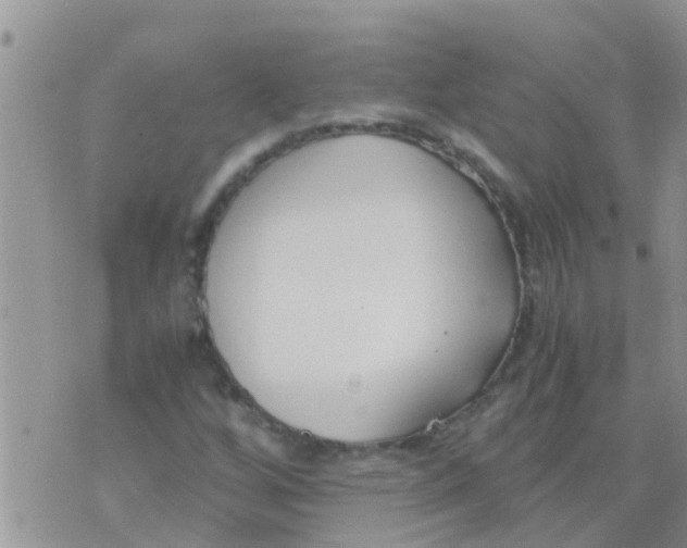 X0000073921256200609082229