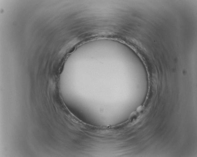 X0000073921257200609082229