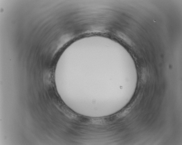 X0000073921258200609082229