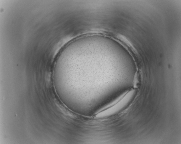 X0000073921260200609082229