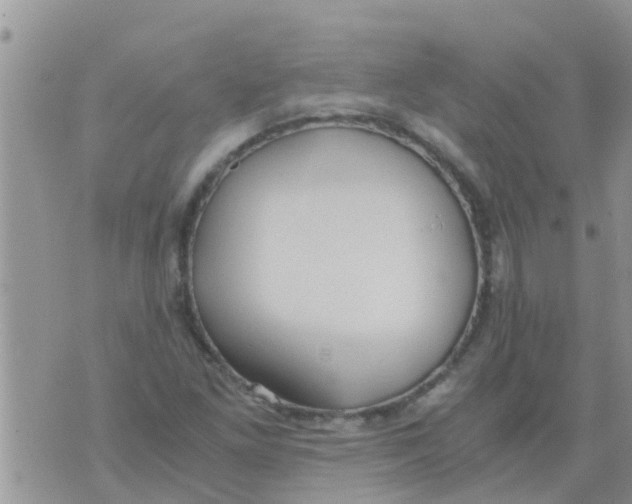 X0000073921261200609082229