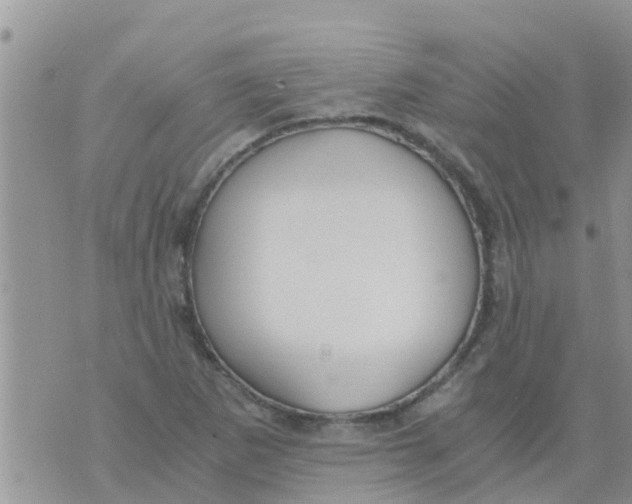 X0000073921265200609082229