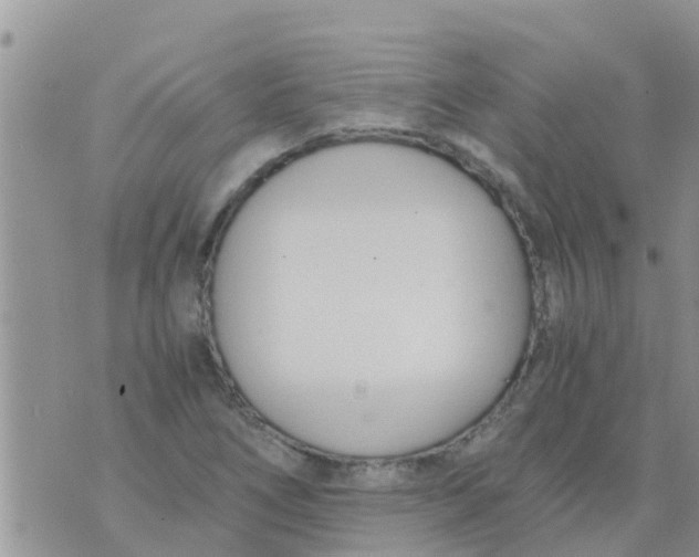 X0000073921266200609082229