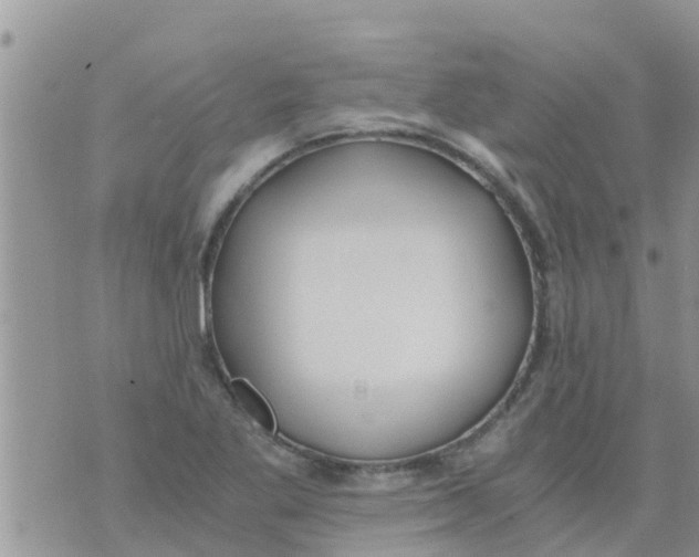 X0000073921269200609082229