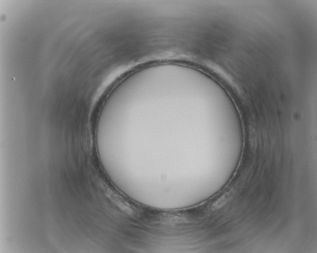 X0000073921270200609082229