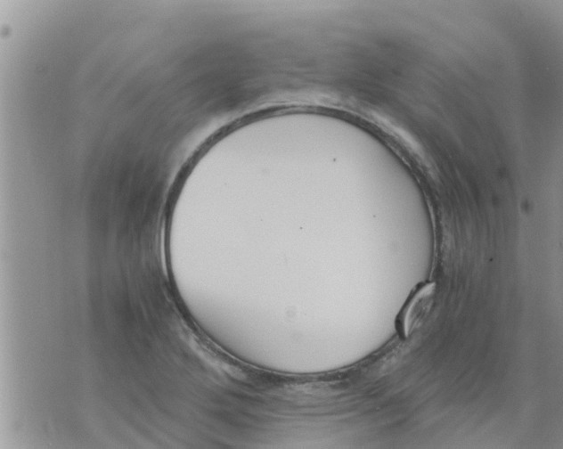 X0000073921272200609082229