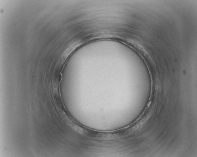 X0000073921273200609082229