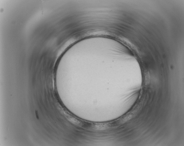 X0000073921274200609082229