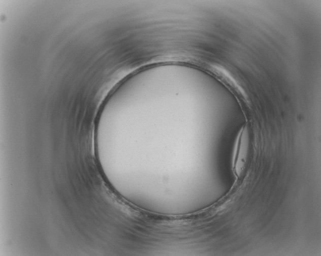 X0000073921276200609082229