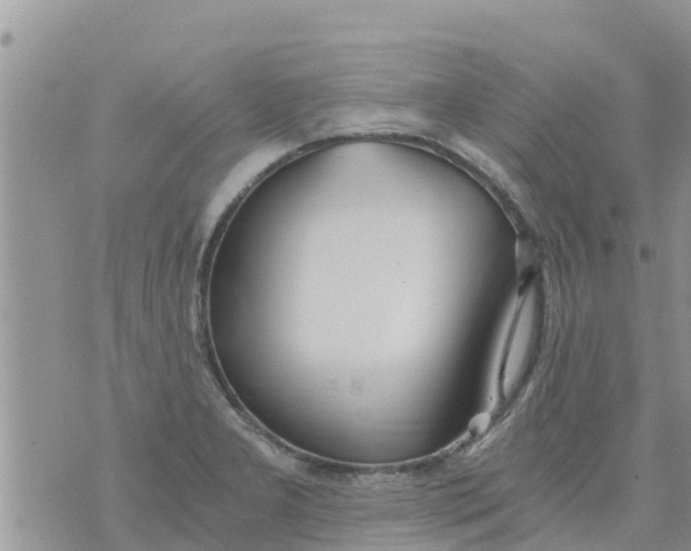 X0000073921277200609082229