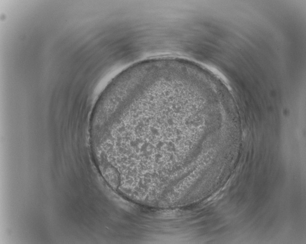 X0000073921279200609082229