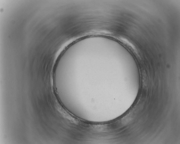 X0000073921280200609082229