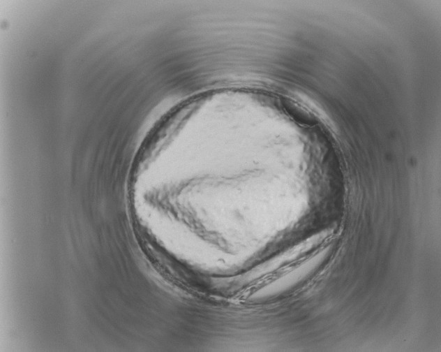 X0000073921283200609082228