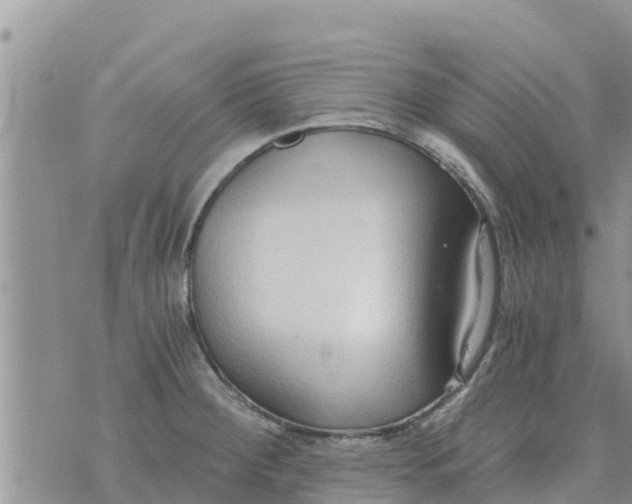 X0000073921284200609082228