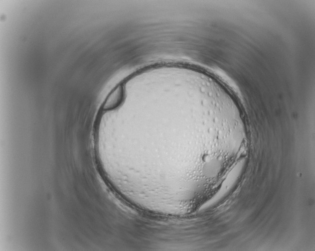 X0000073921287200609082228