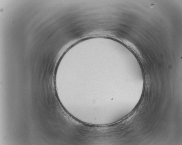 X0000073921288200609082228