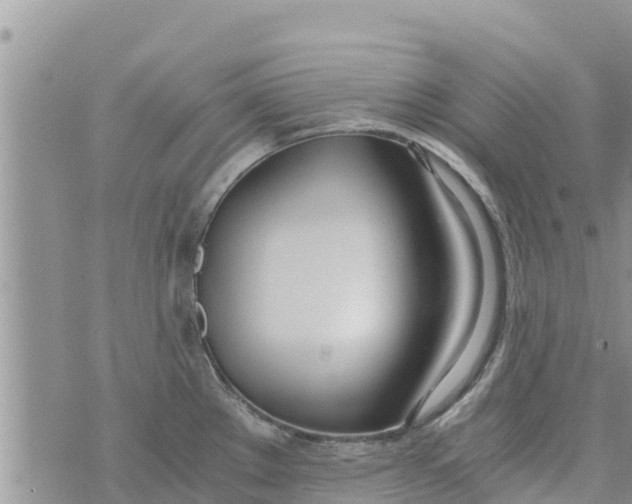 X0000073921289200609082228