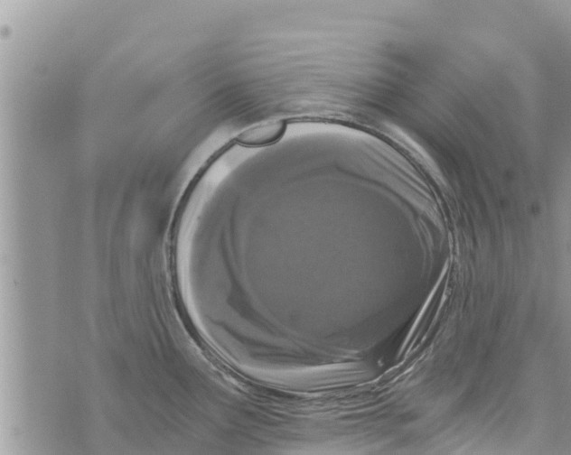 X0000073921291200609082228