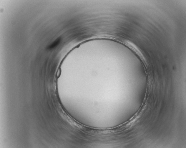 X0000073921292200609082228