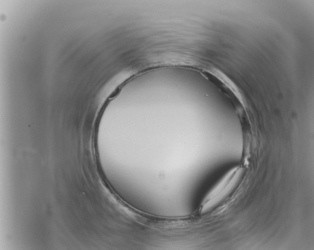 X0000073921293200609082228