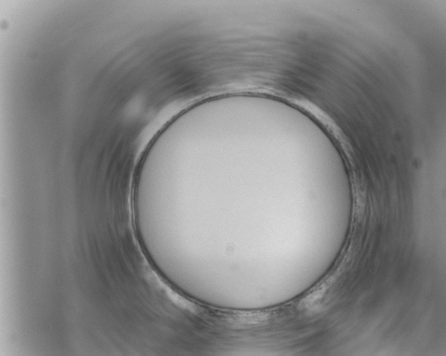 X0000073921294200609082228