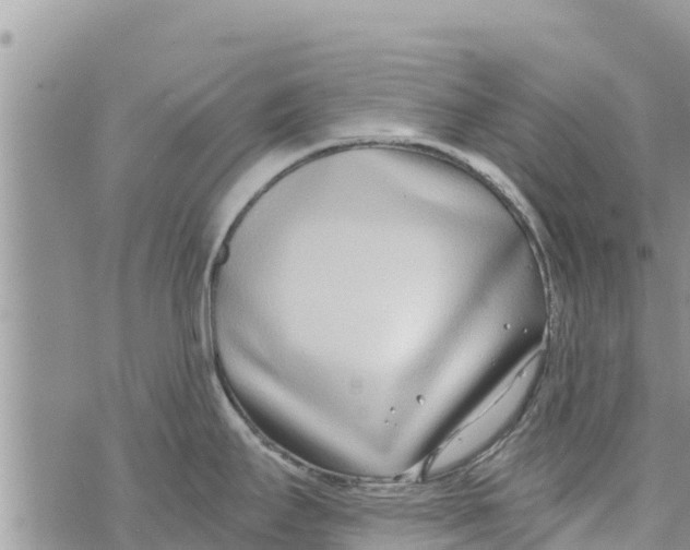 X0000073921295200609082228