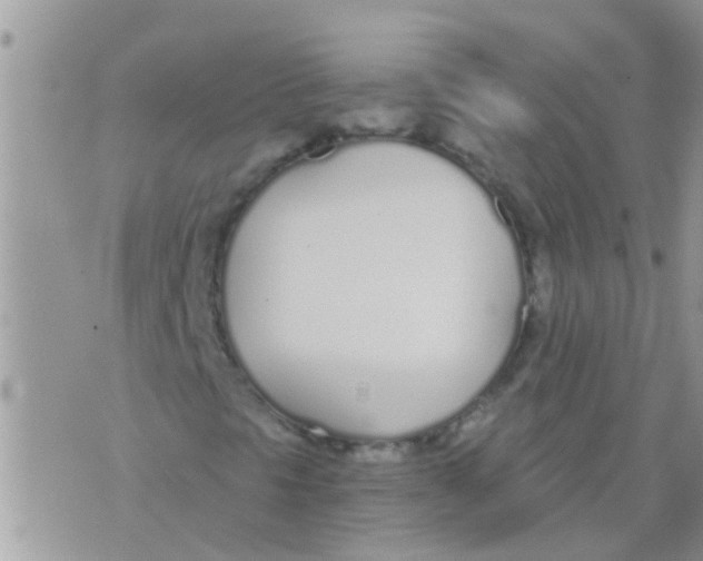 X0000073921297200609082227