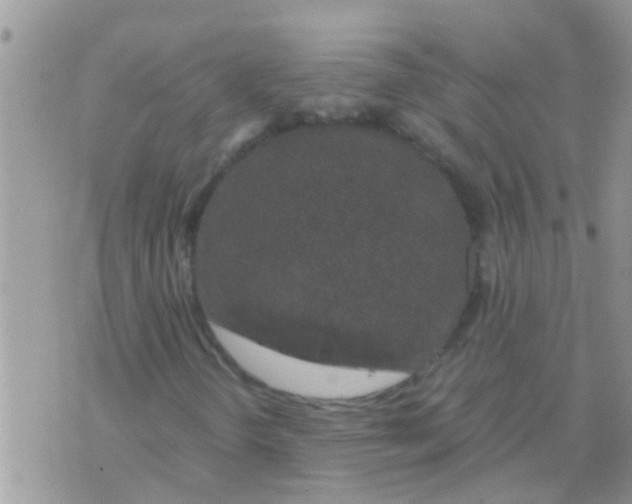 X0000073921298200609082227