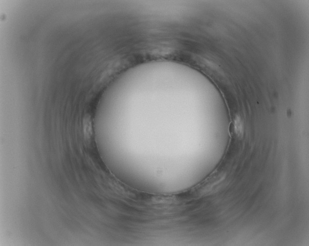 X0000073921299200609082228