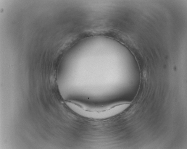 X0000073921300200609082228