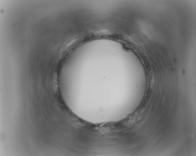 X0000073921301200609082228