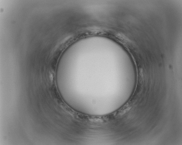 X0000073921302200609082228