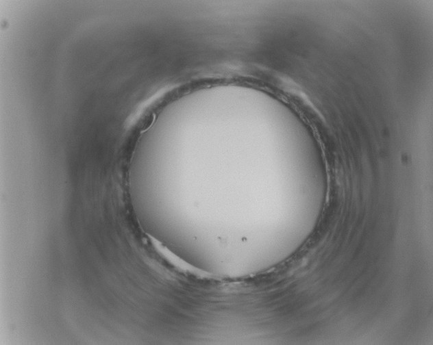 X0000073921304200609082228