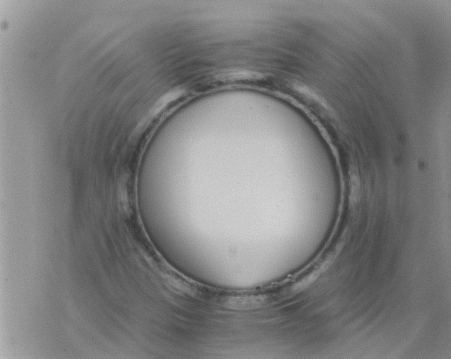 X0000073921305200609082228