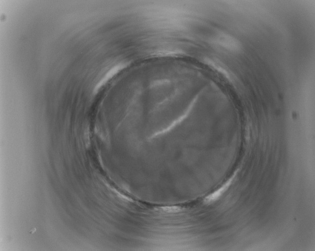 X0000073921306200609082228