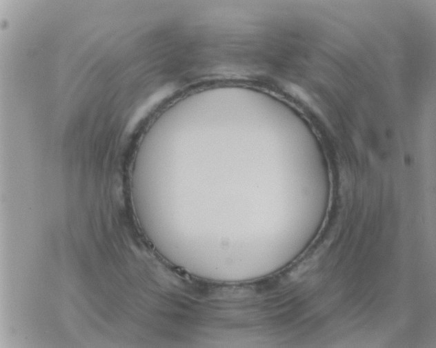 X0000073921307200609082228