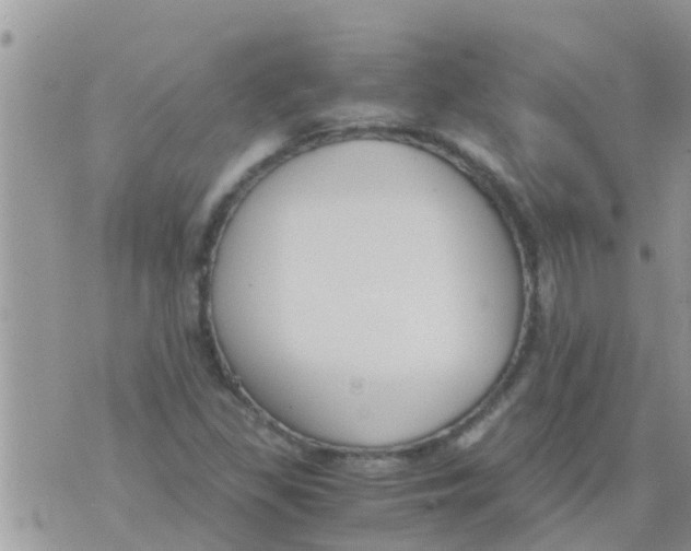 X0000073921309200609082228