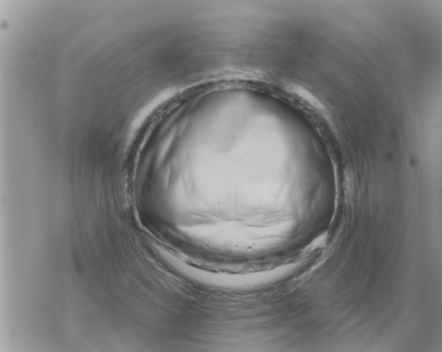 X0000073921310200609082228