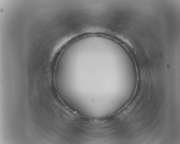 X0000073921311200609082228