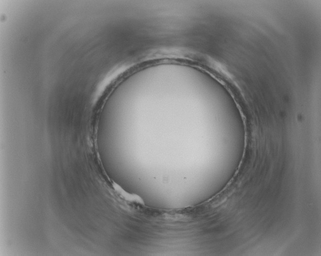 X0000073921312200609082228