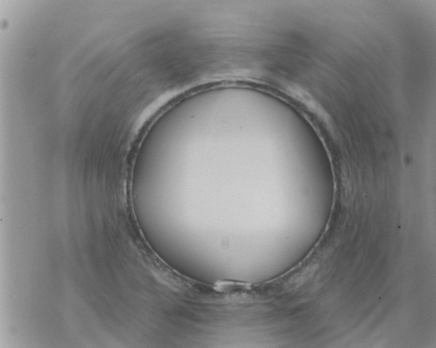 X0000073921316200609082228