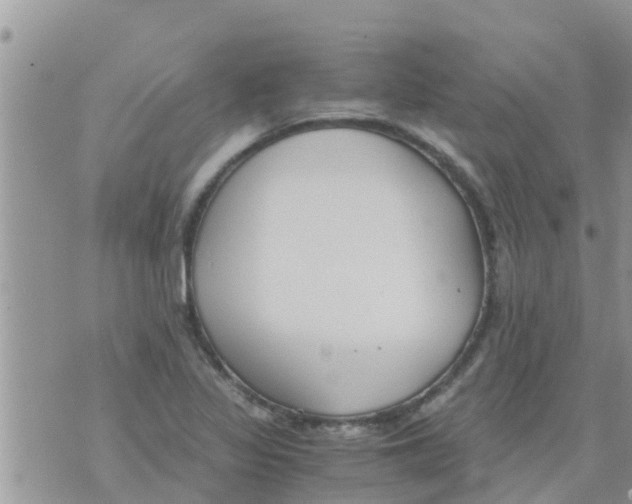 X0000073921317200609082228