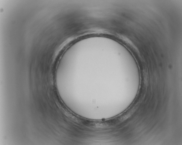 X0000073921318200609082228