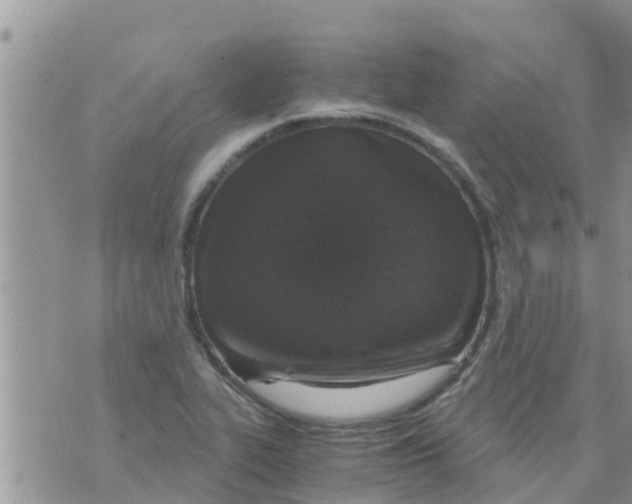 X0000073921319200609082228