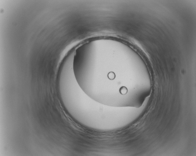 X0000073921320200609082228